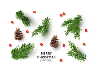 Wall Mural - vector christmas natural decoration set