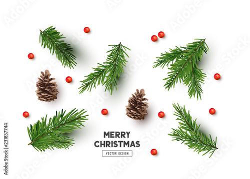 Cuadros en Lienzo Vector Christmas Natural Decoration Set