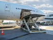 © BAHADIR YENICERI - Process of cargo handling. Parcels loading with high loader at Airport.