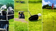 Golf picture collage