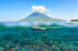 © soft_light - snorkeling woman over a beautiful coral reef in the background the island of Manado Tua, North Sulawesi. Indonesia.