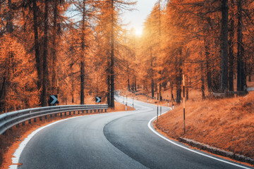 Road in autumn forest at sunset. Beautiful winding mountain road, trees with red foliage and orange sunlight. Landscape with empty asphalt roadway through woodland in fall. Transportation. Seasonal