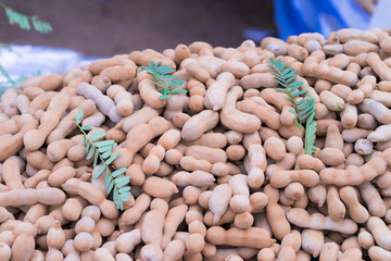 tamarind stacked in rows and in market,