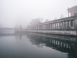 Berliner Dom im Nebel