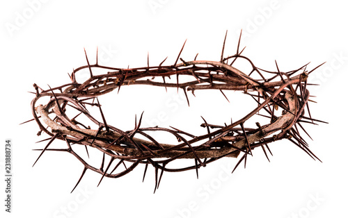 Crown of thorns - Buy this stock photo and explore similar images at