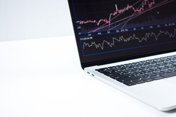 Poster - Business graph on a computer screen.
