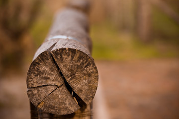 closeup of wood