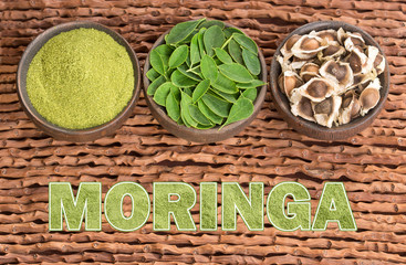 Sticker - Moringa nutritional plant - Moringa oleifera