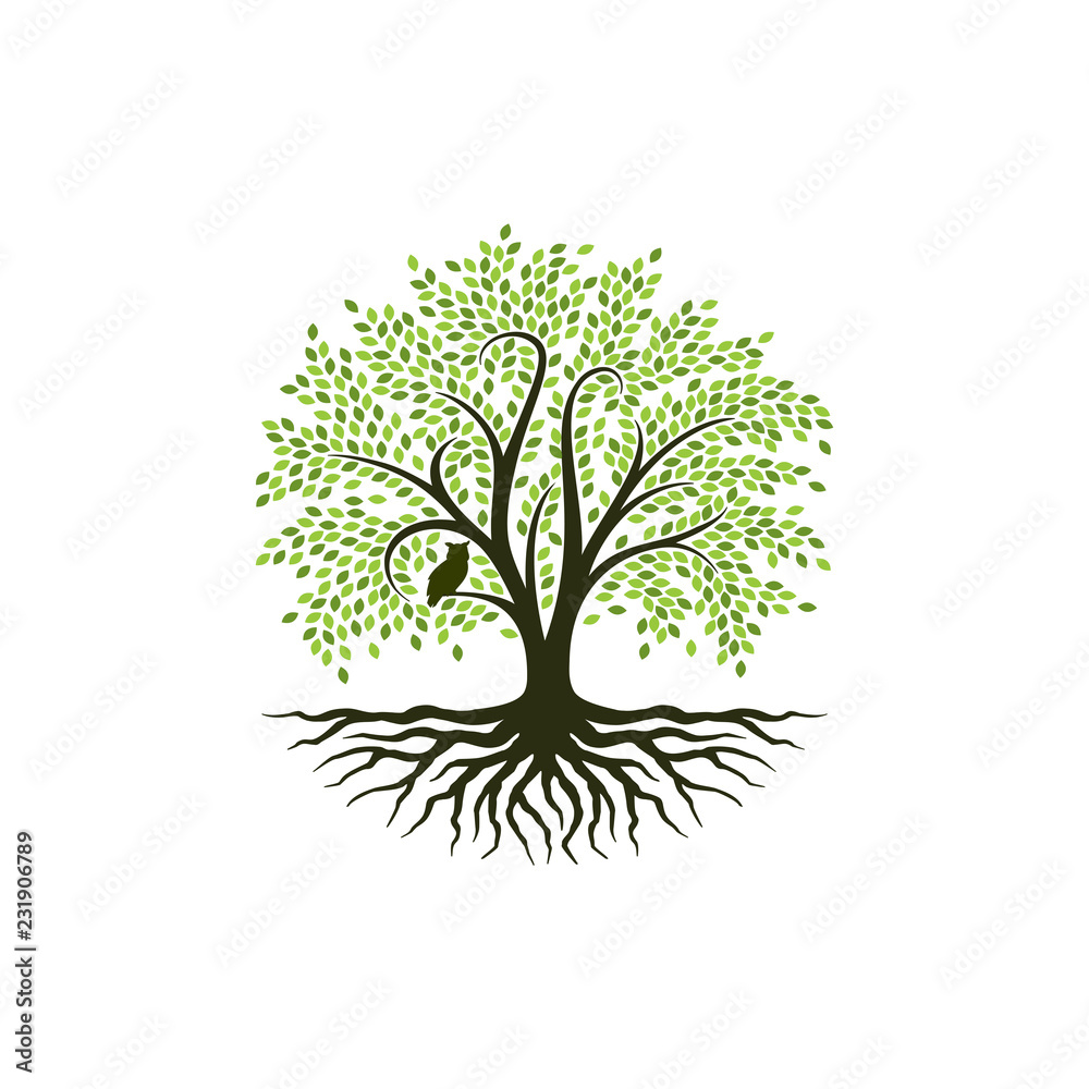 Abstract tree logo design, root vector - Tree of life logo design ...