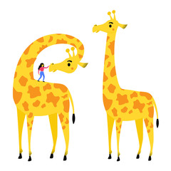  Vector illustration with giraffe and sitting friendly young woman. Set with long neck african animal