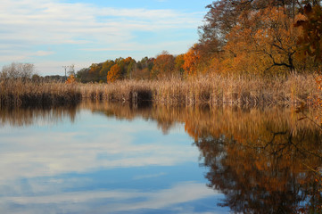 Wall Mural - lake in autumn