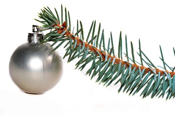 Natural branch of blue spruce with a silver Christmas ball with pattern on a white background. Isolated