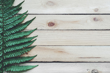 fern on a wooden background