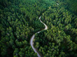 © Stocksy - Aerial view from drone, of curved mountain road between woods.
