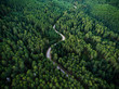© Stocksy - Aerial view from drone, of curved mountain road between woods.