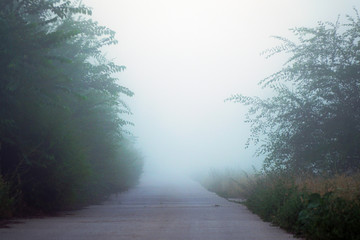  Mystical fog on a country road