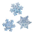 Three snowflakes isolated on white background. Macro photo of real snow crystals: elegant star plates with short ornate arms, glossy relief surface, complex inner details and fine hexagonal symmetry.