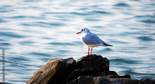 No Name 00 Buy This Stock Photo And Explore Similar Images - 