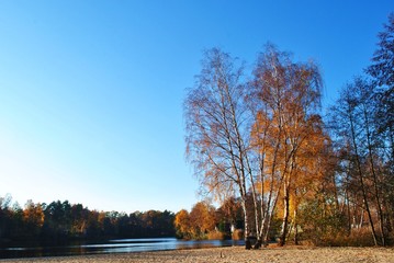 Wall Mural - Jesień