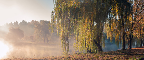 autumn foggy morning in the city park