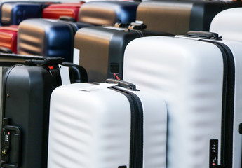 Different modern travel suitcases in the shop
