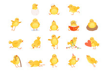 Set Of Funny Yellow Chicken In Various Situations. Cartoon Character Of Little Farm Bird. Isolated Flat Vector Design For Postcard, Sticker Or Children S Book