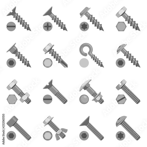 types of screws