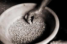 Skinny African Person Hand Touching Pot Of Beans In African During Difficult Famine Time In Village With Sepia Effect