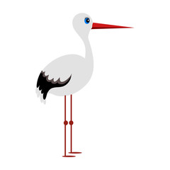 Wall Mural - Stork. Isolated on white background, standing stork. Vector illustration. EPS 10.