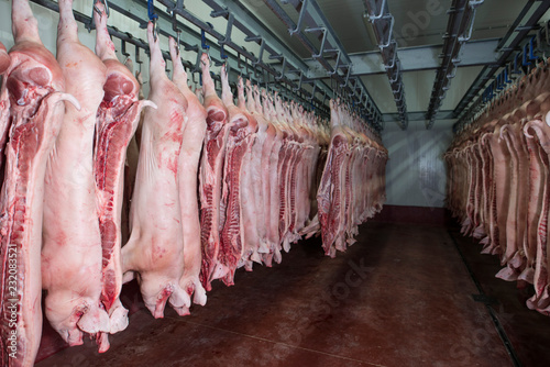 Cuadros en Lienzo Raw meat in cold storage. Food industry. Distribution center.
