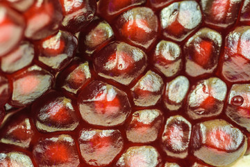 closeup pomegranate seeds 