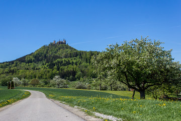 Wall Mural - Hohenzollern Castle, Germany	