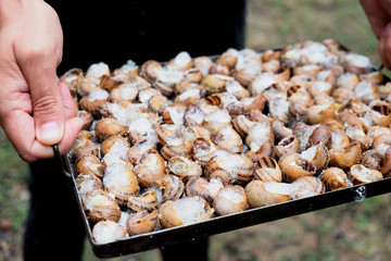 Poster - young man preparing a catalan recipe of snails