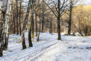 Wall Mural - view of urban park covered with the first snow