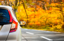 Close Up Tail Lamp Of The Car On The Road Or Gold Line In The Forest During The Autumn Season With Blur Forest And Leaves Change Color Background In Travel And Transportation Concept.