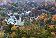Japan Autumn - Kamakura