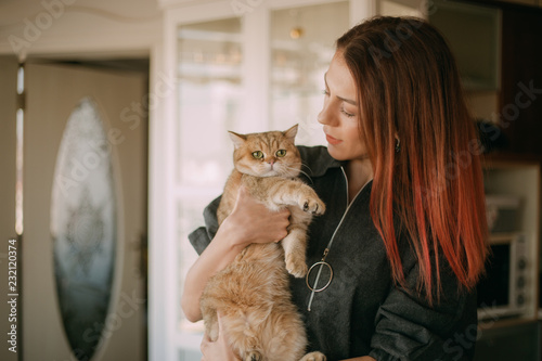 Golden Shaded British Shorthair Cat And Young Woman Buy This