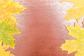 Wall Mural - five fragments of maple leaves on both sides of a red wooden surface