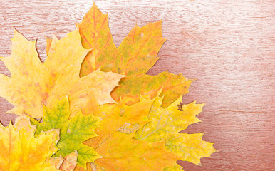 Wall Mural - fragments of yellow maple leaves in the corner of a wooden painted surface