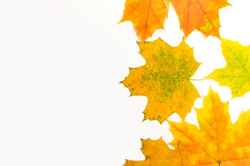 Wall Mural - maple leaves on the right
