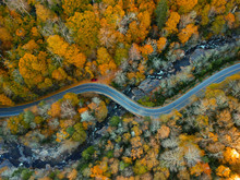 Aerial Drone View Of Autumn / Fall In The Blue Ridge Of The Appalachian Mountains  Near Asheville, North Carolina. Vibrant Red, Yellow, Orange Leaf Foliage Colors On The Curve Of Mountain Road Side. 
