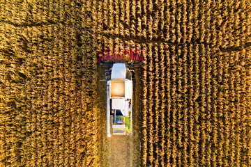 Wall Mural - Combine harvester