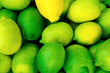 lemon close up. lemon harvest. many yellow and green lemons.
