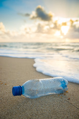 Wall Mural - Plastic waste water bottle washed up in the waves on the shore of an empty tropical beach