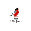 Vector illustration. Cute cartoon style icon of bullfinch with text 