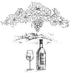 Wall Mural - Hand Drawn Grape Branch and Wine Bottle