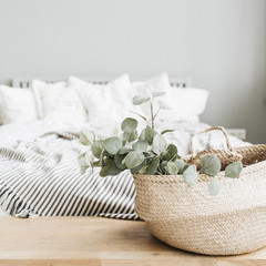 Modern apartment interior design. Bed and eucalyptus branch.