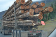 logs, tree trunks,  transportation,  industry, truck,