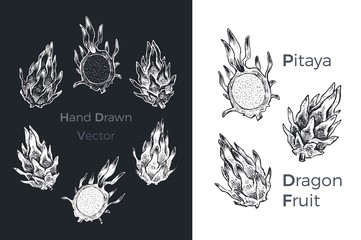 Wall Mural - Hand drawn dragon fruit or pitaya vector icons