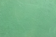 Green Wall Facade Texture Surface